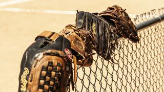 Baseball mitts lined along a fence