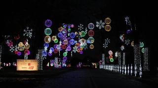 Christmas at the Park in Jonesboro. 