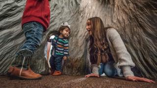 Delta Rivers Nature Center is great fun for all ages.