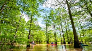 St. Francis Sunken Lands Water Trail