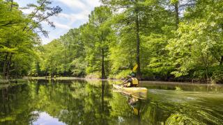 The Little Maumelle River Water Trail 