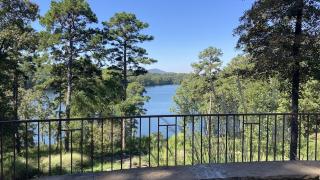 Garvan Woodland Gardens
