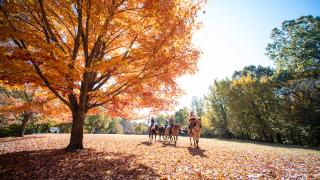 Horseback riding at Village Creek State Park 