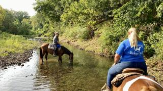 Guided trail rides at Flying Q Farms in Fayetteville, Arkansas