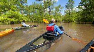 The St. Francis Sunken Lands Water Trail