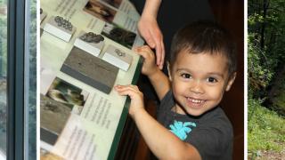 The entire family will enjoy a visit to the Crowley's Ridge Nature Center.