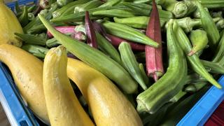 Vegetables from Drewry Farm & Orchards