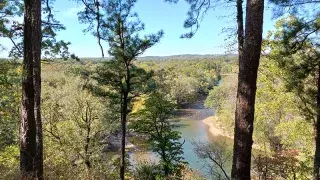 Goat's Beard Bluff Natural Area. Photo care of Arkansas Natural Heritage Commission.