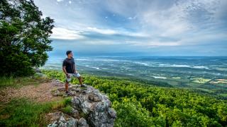 A view off of Mount Magazine