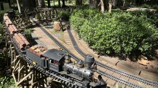 The Garvan Gardens Trains.