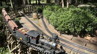 The Garvan Gardens Trains.
