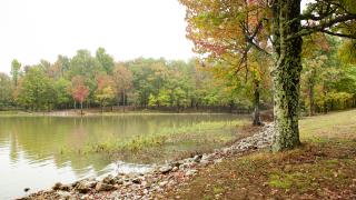 Lake Frierson State Park outside Jonesboro is a year-round favorite for outdoor fun.