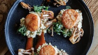 Food at Stonehouse