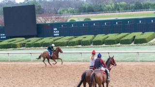 Oaklawn Racing & Gaming
