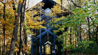 Thorncrown Chapel
