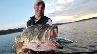 Fishing in Arkansas