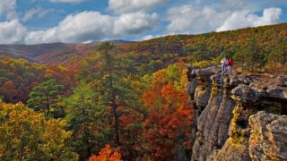 Kings Bluff