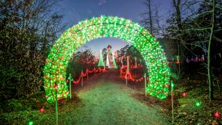 Christmas Light Archway at Garvan Gardens