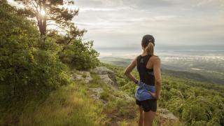 A mountain view from the top of Mount Magazine