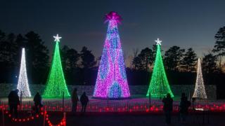 The Trail of Holiday Lights at Garvan Woodland Gardens