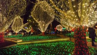 Thousands of colorful holiday Christmas lights on the Bentonville Square