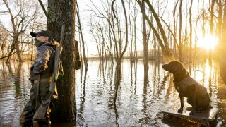 Woman and dog stand in a flooded field during an duck hunt at sunrise