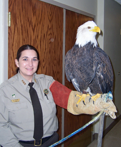 ASP_and_Eagle