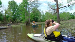 The Bayou Bartholomew Water Trail. Photo by Z. Clift
