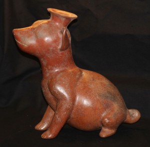 Colima Dog