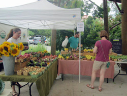 Bernice_Vendor
