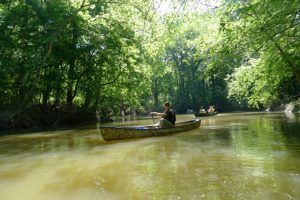 Paddling at Fourche Creek. Photo by Z. Clift