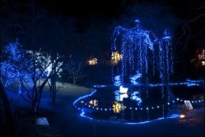 Garvan_Woodland_Gardens_Hot_Springs_2126_l