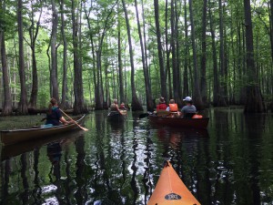 Paddling Grassy Lake Water Trail. Photo by Z. Clift. 