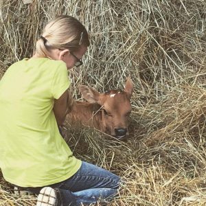 Harriet_Dogwood_Hills_Guest_Farm_animals