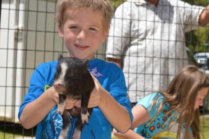 Heber_Springs_Springfest_petting_zoo