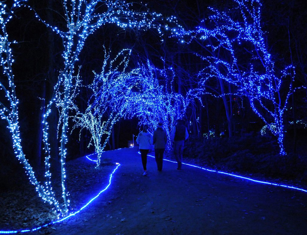 Holiday Lights at Garvan Woodland Gardens in Hot Springs