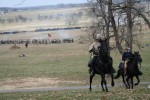 IMG_0243