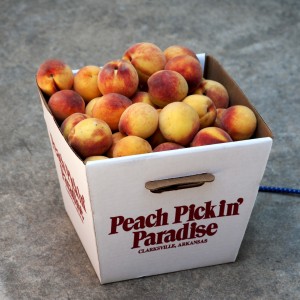 Johnson County Peach Festival 1