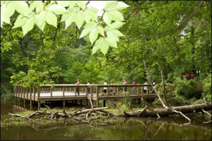 Logoly_State_Park_002_l