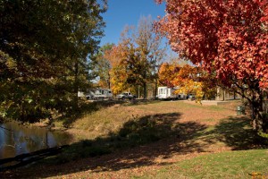 MRSP fall colors
