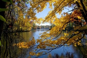 MRSP fall colors2