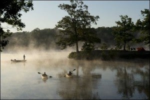 MRSP fog
