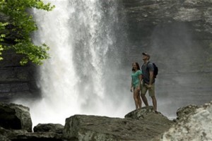 Petit_Jean_cedar falls