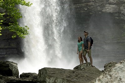 Petit_Jean_cedar falls