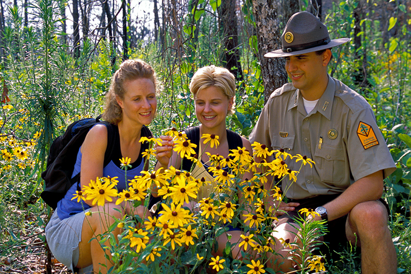 Petit_Jean_wildflowers_2