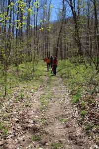 Smith_Creek_Preserve_hiking