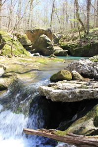 Smith_Creek_Preserve_waterfall
