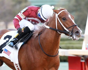Tapiture - The Southwest Stakes