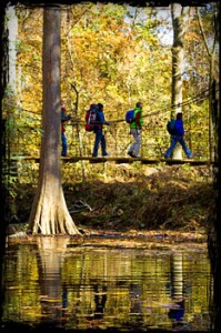cane creek state park trail