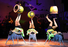 cirque zuma zuma1